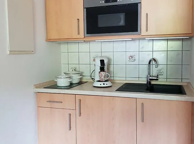 Fischer Apartament Kurort Gohrisch